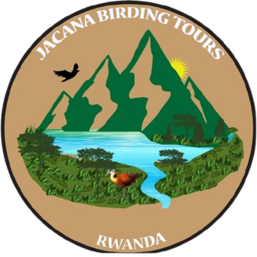 jacana-birding-tours